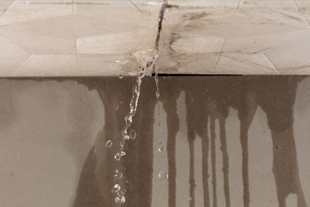 Professional Flood Damage Cleanup technician working in Whitfield, FL